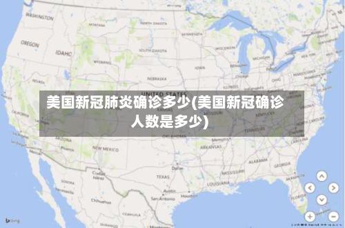 美国新冠肺炎确诊多少(美国新冠确诊人数是多少)-第3张图片