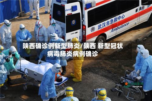 陕西确诊例新型肺炎/陕西 新型冠状病毒肺炎病例确诊-第2张图片