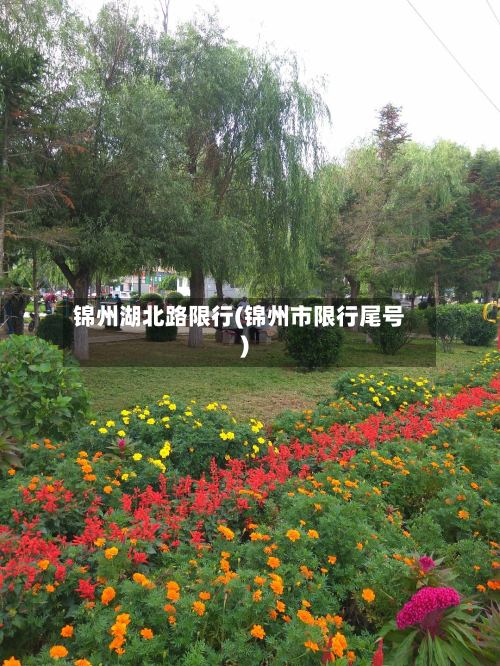 锦州湖北路限行(锦州市限行尾号)