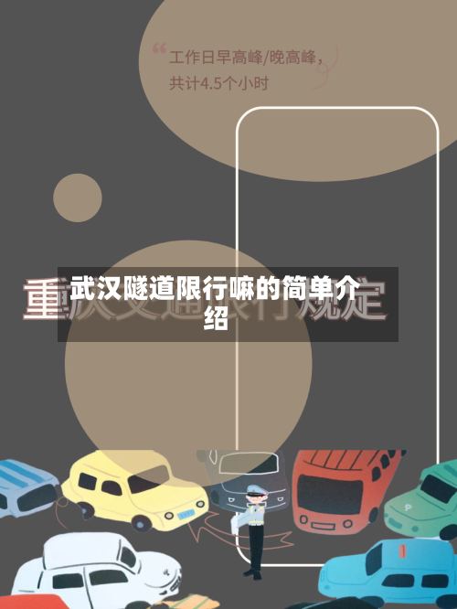 武汉隧道限行嘛的简单介绍-第3张图片