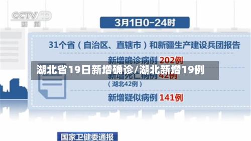 湖北省19日新增确诊/湖北新增19例