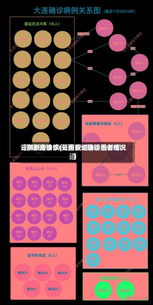 云南新增确诊(云南新增确诊患者情况)-第2张图片