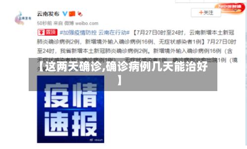 【这两天确诊,确诊病例几天能治好】-第2张图片