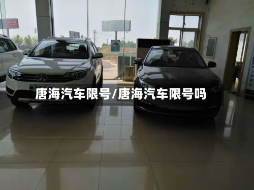 唐海汽车限号/唐海汽车限号吗-第2张图片