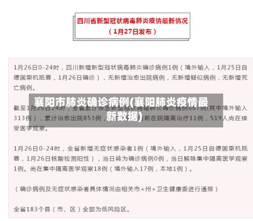 襄阳市肺炎确诊病例(襄阳肺炎疫情最新数据)-第2张图片