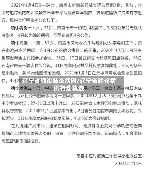 辽宁省确诊肺炎病例/辽宁省确诊病例行动轨迹-第2张图片