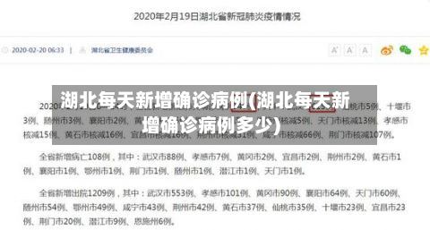 湖北每天新增确诊病例(湖北每天新增确诊病例多少)