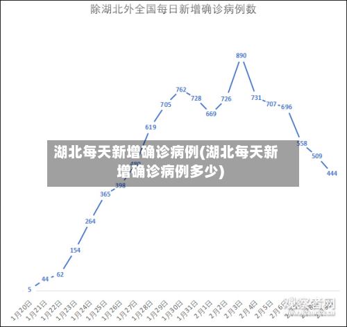 湖北每天新增确诊病例(湖北每天新增确诊病例多少)-第2张图片