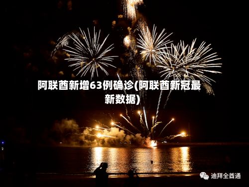 阿联酋新增63例确诊(阿联酋新冠最新数据)-第2张图片