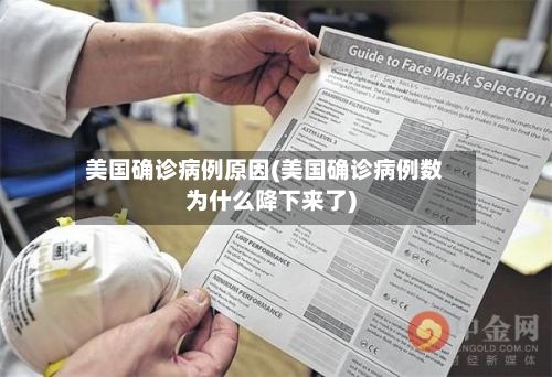 美国确诊病例原因(美国确诊病例数为什么降下来了)-第3张图片