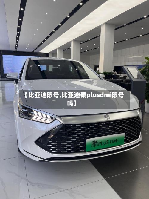 【比亚迪限号,比亚迪秦plusdmi限号吗】-第3张图片
