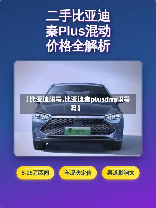 【比亚迪限号,比亚迪秦plusdmi限号吗】-第2张图片