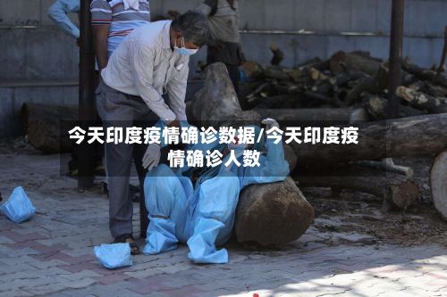 今天印度疫情确诊数据/今天印度疫情确诊人数-第3张图片