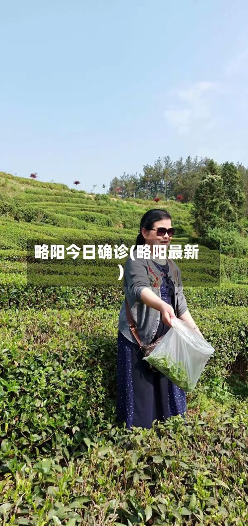 略阳今日确诊(略阳最新)-第2张图片