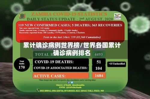 累计确诊病例世界榜/世界各国累计确诊病例排名-第2张图片