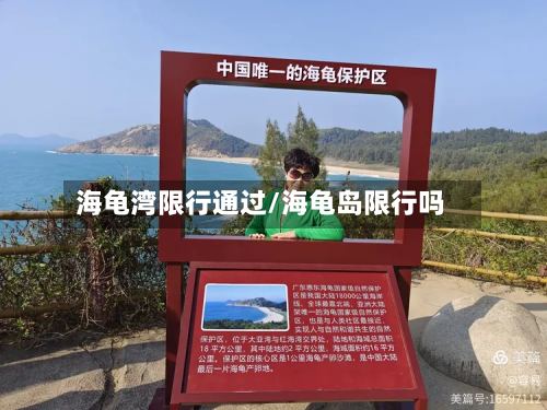 海龟湾限行通过/海龟岛限行吗-第2张图片
