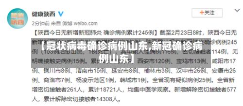 【冠状病毒确诊病例山东,新冠确诊病例山东】-第2张图片