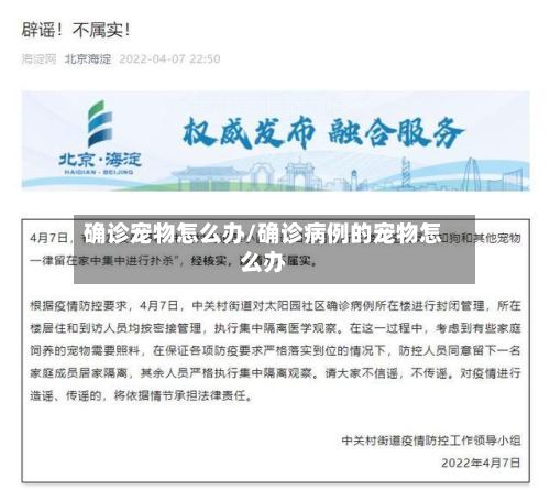 确诊宠物怎么办/确诊病例的宠物怎么办-第3张图片