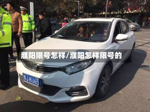 濮阳限号怎样/濮阳怎样限号的-第3张图片