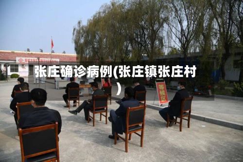 张庄确诊病例(张庄镇张庄村)-第2张图片