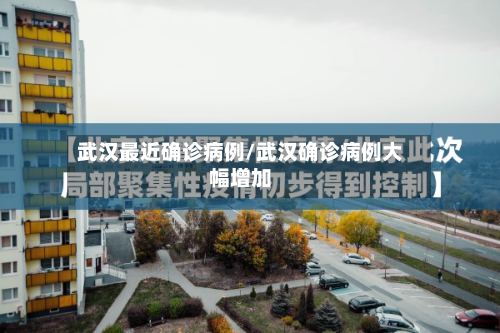 武汉最近确诊病例/武汉确诊病例大幅增加-第2张图片