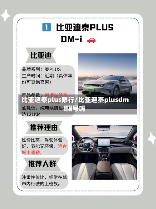 比亚迪秦plus限行/比亚迪秦plusdmi限号吗-第2张图片