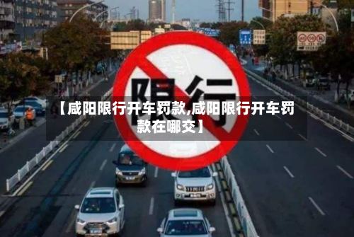 【咸阳限行开车罚款,咸阳限行开车罚款在哪交】