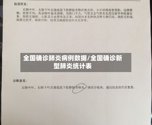 全国确诊肺炎病例数据/全国确诊新型肺炎统计表