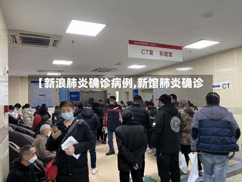 【新浪肺炎确诊病例,新馆肺炎确诊】-第3张图片