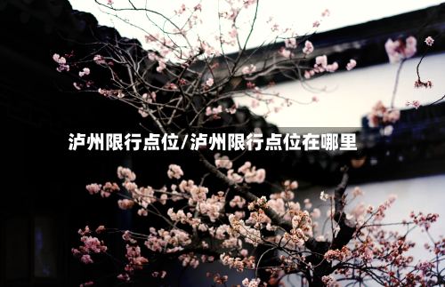 泸州限行点位/泸州限行点位在哪里-第3张图片