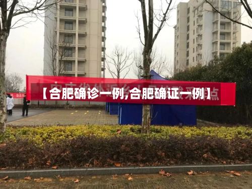 【合肥确诊一例,合肥确证一例】