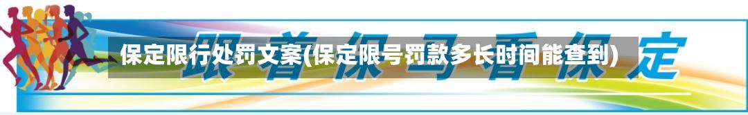 保定限行处罚文案(保定限号罚款多长时间能查到)-第2张图片