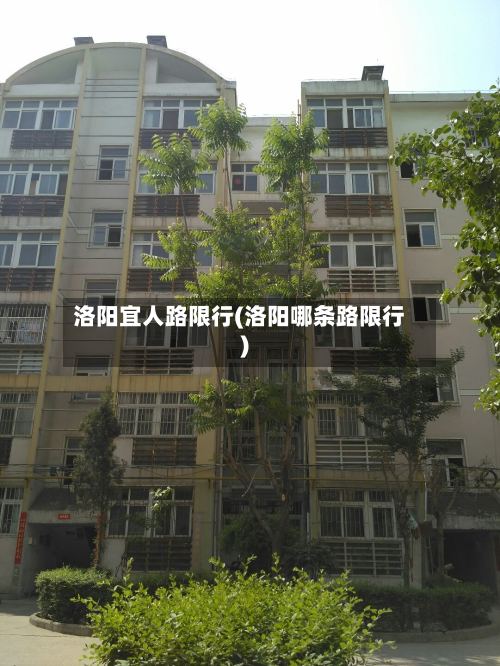 洛阳宜人路限行(洛阳哪条路限行)
