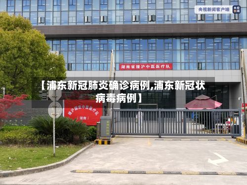 【浦东新冠肺炎确诊病例,浦东新冠状病毒病例】