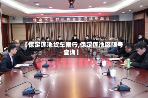 【保定莲池货车限行,保定莲池区限号查询】-第3张图片