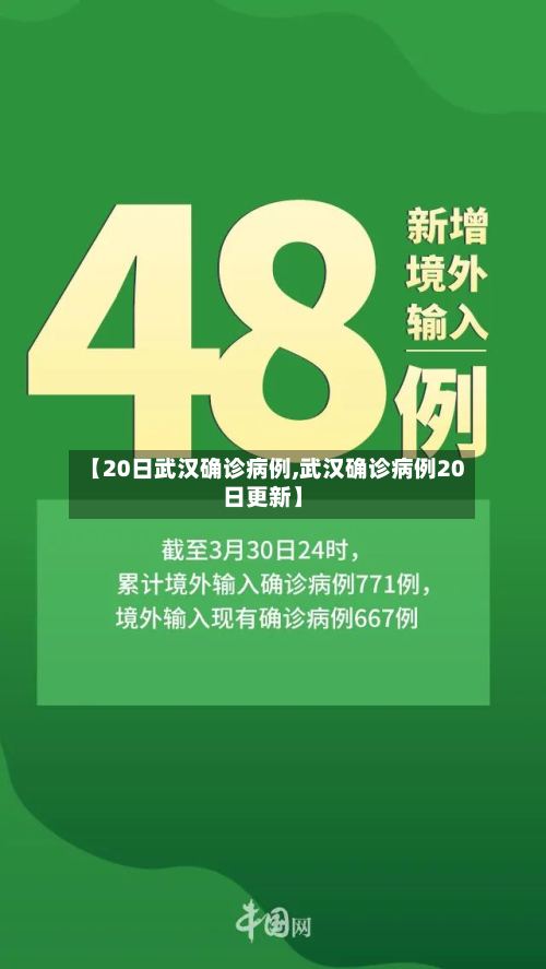 【20日武汉确诊病例,武汉确诊病例20日更新】-第2张图片