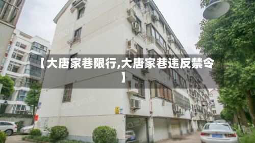 【大唐家巷限行,大唐家巷违反禁令】-第3张图片