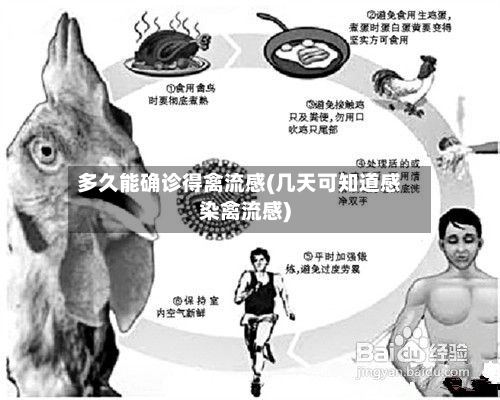 多久能确诊得禽流感(几天可知道感染禽流感)