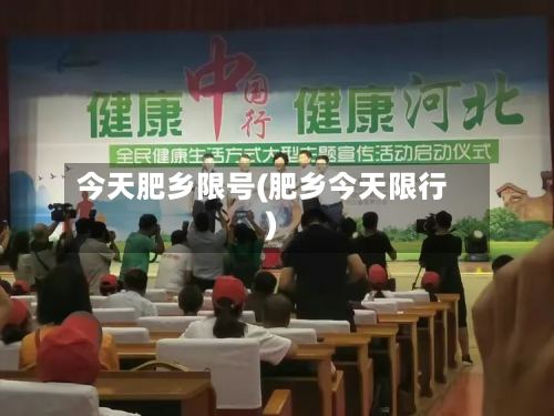 今天肥乡限号(肥乡今天限行)-第3张图片