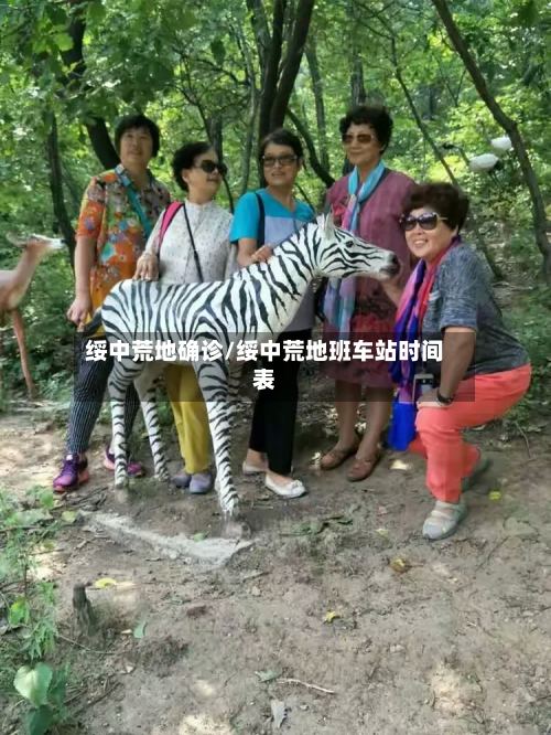 绥中荒地确诊/绥中荒地班车站时间表-第2张图片
