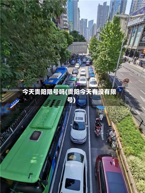 今天贵阳限号吗(贵阳今天有没有限号)-第2张图片