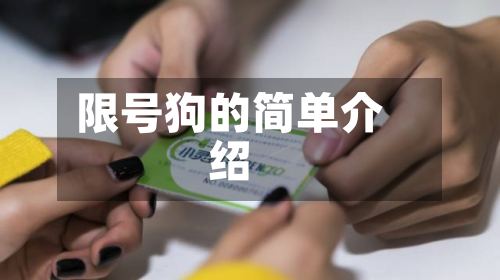 限号狗的简单介绍