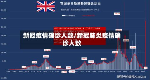 新冠疫情确诊人数/新冠肺炎疫情确诊人数-第2张图片