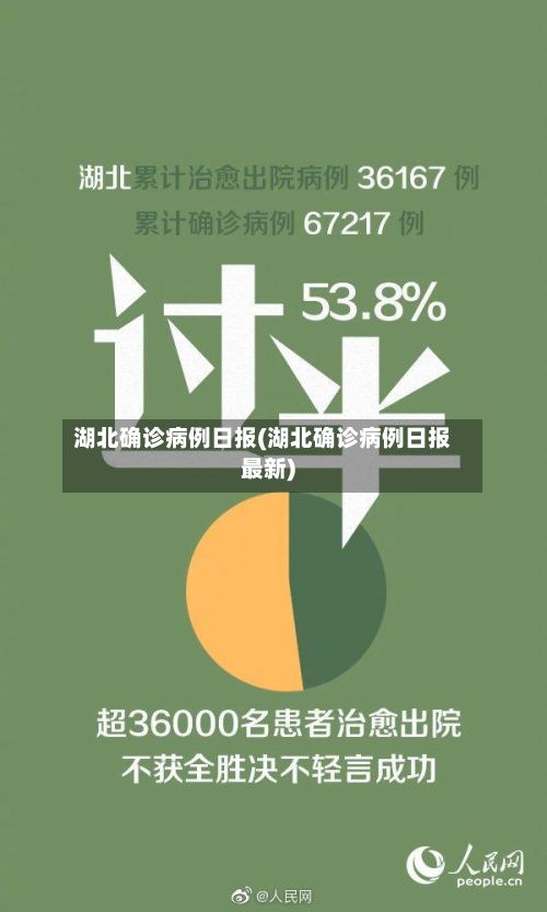 湖北确诊病例日报(湖北确诊病例日报最新)