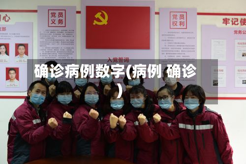 确诊病例数字(病例 确诊)-第3张图片