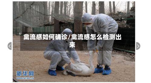 禽流感如何确诊/禽流感怎么检测出来