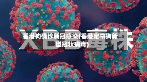 香港狗确诊新冠感染(香港宠物狗新型冠状病毒)-第2张图片