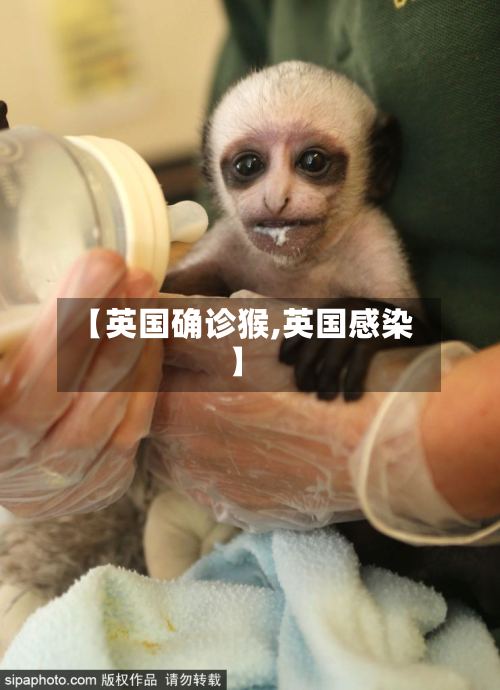 【英国确诊猴,英国感染】