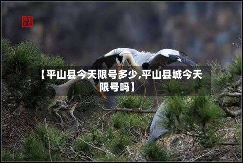 【平山县今天限号多少,平山县城今天限号吗】-第2张图片