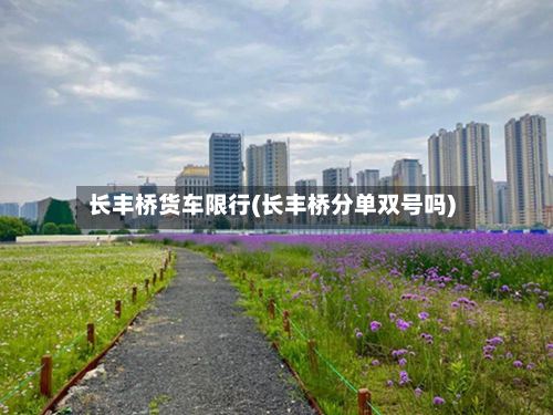 长丰桥货车限行(长丰桥分单双号吗)-第2张图片